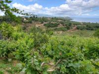 Guesthouse Agia Triada - B&B Koroni