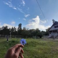 KYIAL guest house - Bed and Breakfast Arkit