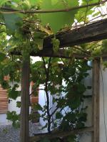 Pension Sunnseitn - Gasthof - Café - Weinkeller - B&B