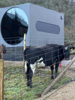 Langelandsvik Gard Birdbox - B&B Nessa