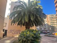 Apartamento Oyón - Bed and Breakfast Logroño