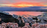Roses Puig Rom - B&B Rosas