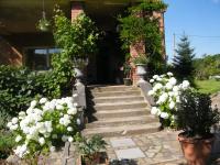Gutshaus Dämelow tussen Schwerin en Wismar - Bed and Breakfast