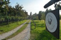 Agriturismo Loghino Sabbioni - B&B Suzzara