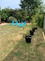 VILLA CATHY - B&B Dives-sur-Mer