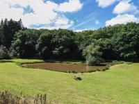 Stylish Studio with Parking, Countryside Views & Fast Wifi - B&B Oldbury