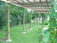 Casa los olivos - B&B Olmué