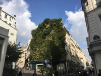 Studio Aboukir - Chambres d’hôtes