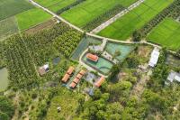 Dream Hill Homestay - Bed and Breakfast Quyết Tiến