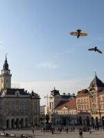 Historic Grand Suite - Bed and Breakfast Novi Sad