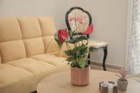 Casa Urbana - B&B Athens