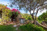 Asfodeli Holiday Home - Bed and Breakfast Monte Nai