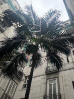 Tiaré Home Napoli - B&B Naples