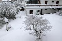 Domus Helios - B&B Levico Terme