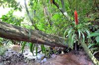 Austria Hostel & Pousada - B&B Blumenau