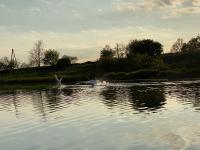 Sun street - B&B Nīca