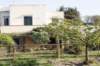 La Cantina - B&B Ventotene