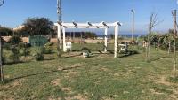 La Cantina - Ferienwohnung Ventotene