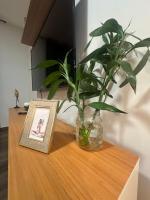 Apto Conforto Av Rio Verde C Ar Cond Wi-Fi garagem - Bed and Breakfast Goiânia