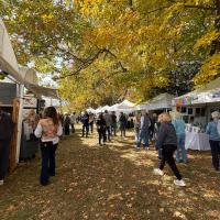 Steady As We Go - B&B Nosara