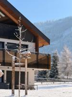 Sottla - your mountain home - B&B Valdaora