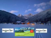 Sattlehnerhof - B&B Ramsau am Dachstein
