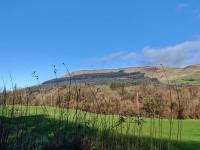 Half Pint Cottage - Bed and Breakfast Draperstown