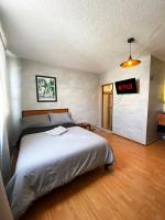 Compact Studio Apartment Casa Icacos Apt 6 - B&B Mexico City