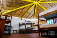 Single Bed in 6-Bed Dormitory Room