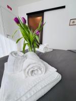 Superior Appartement met 1 Slaapkamer en Balkon