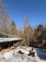 Log Cabin - B&B Wake Forest