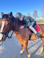 Familienurlaub mit Hund, Wellness & Bauernhoferlebnis im Münsterland - B&B Mettingen