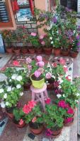 Galaxy Inn Guest House - B&B