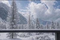 Apartment overlooking the Mont Blanc range - B&B Chamonix-Mont-Blanc