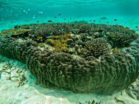 Sau Baryam - B&B Fuame