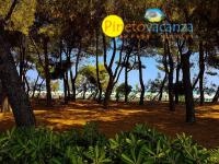 Residenza Il Corallo - Apt Corallo Rosa - Pineto Vacanza - B&B Pineto