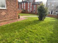 Cozy Organic Tea House in Central Ipswich near Waterfront, University and Hospital - B&B Ipswich