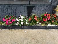 Apartment mit Blick auf die Berge