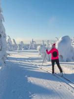 Lumi City Apartment - Ferienwohnung Levi