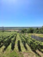 Domaine de Tincourt, Authentic Champagne house - Ferienwohnung Venteuil