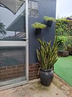 Melrose Garden Cottages - Hibiscus Cottage - B&B Durban