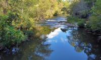 NEW 270ft of Riverfront 15 min from Helen - B&B Cleveland