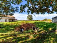 Manoir Les Touches - Gîtes - B&B Doué-la-Fontaine