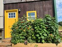 The Sunflower - Ferienwohnung Green Creek