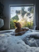 Studio Mata dos Curiós - B&B Petrópolis