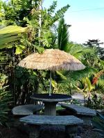 Arenal Rainforest # La cabaña - B&B Palma