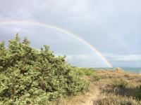 Tenuta le marze - Bed and Breakfast Castiglione della Pescaia