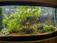 Ferienwohnung Erlengrund - B&B Mochenwangen