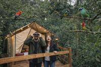 Glamping Colibrí, bosque vecino y vista a la montaña al mismo tiempo - B&B Jardin