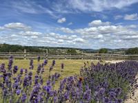 1 Bed in Idridgehay oc-s35005 - Bed and Breakfast Idridgehay